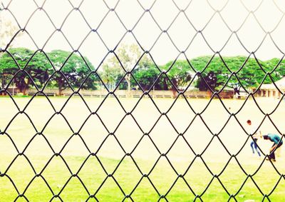 Field seen through chainlink fence