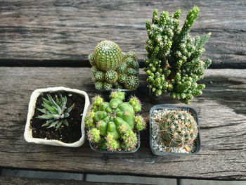 High angle view of vegetables on table