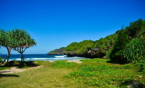 Scenic view of sea against clear blue sky