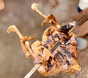 Close-up of crab on barbecue grill