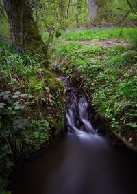 Scenic view of waterfall