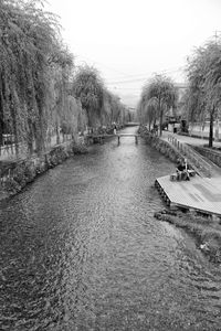 Trees in water