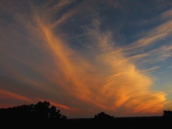 Silhouette trees against dramatic sky during sunset