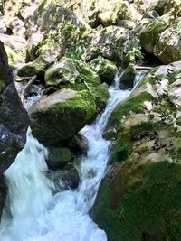 Scenic view of waterfall