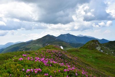 Scenic view of mountains against sky