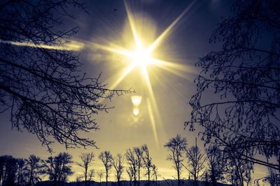 Low angle view of silhouette trees against sky during sunset