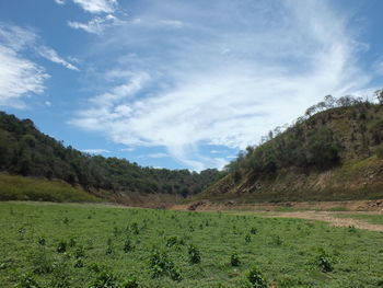 Scenic view of field against sky