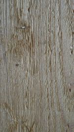 Full frame shot of plants