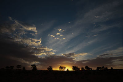 Silhouette trees on field against sky at sunset