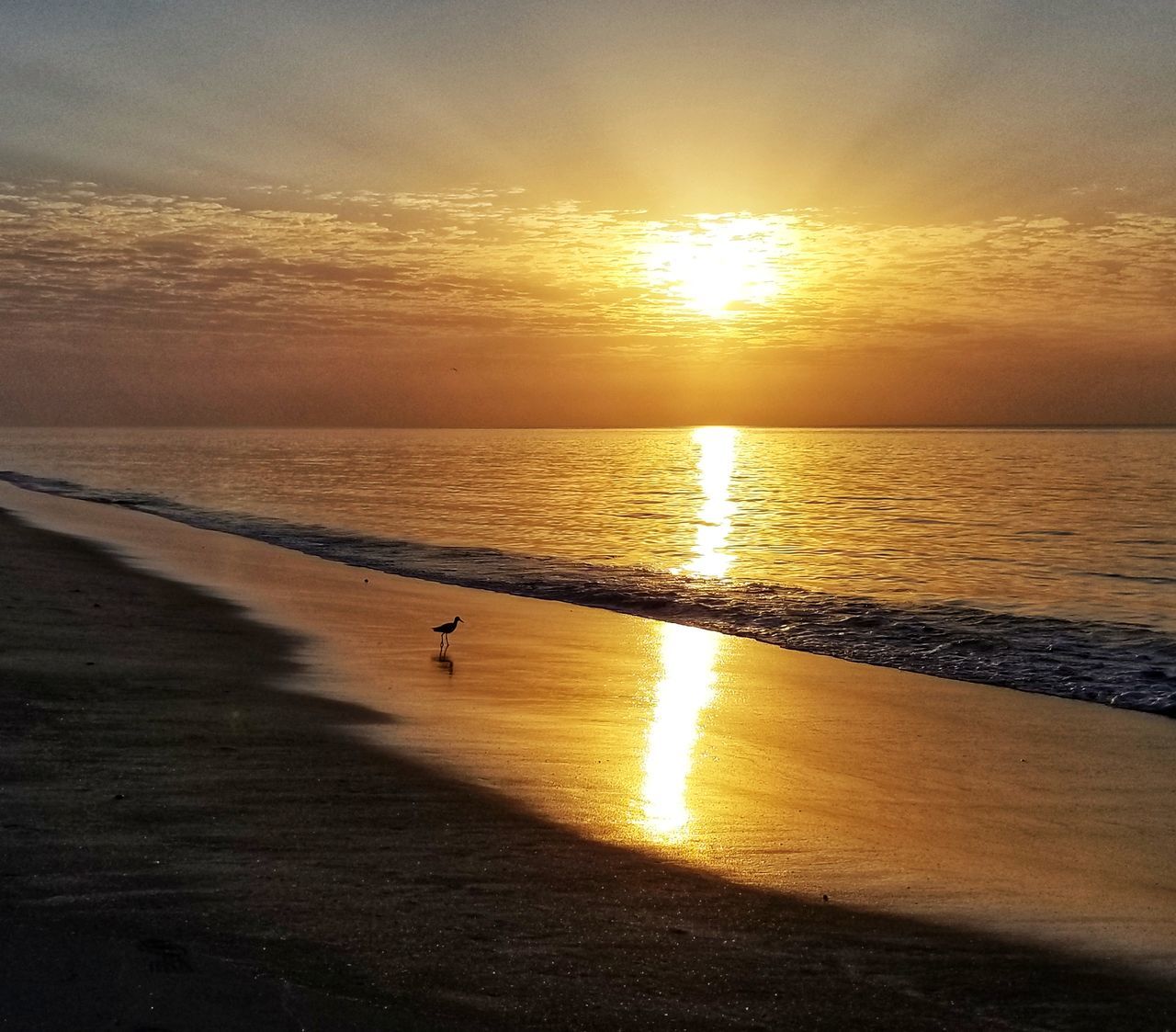 VIEW OF SEA AT SUNSET