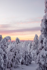 Scenic view of landscape against sky during winter