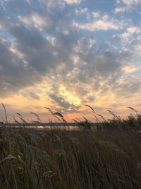 Scenic view of field against sky at sunset