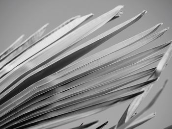 Close-up of books on table