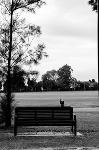 Man sitting on bench in park
