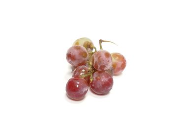 Close-up of fruits against white background