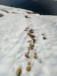 High angle view of snow covered land