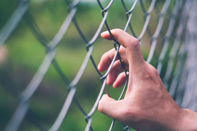 Close-up of hand holding chainlink fence against blurred background