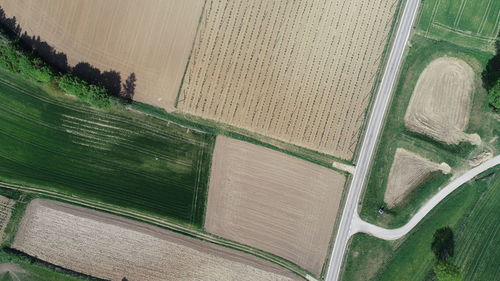 High angle view of messy field