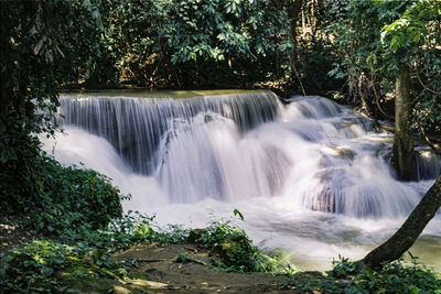 Scenic view of waterfall in forest