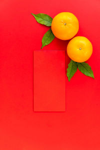 High angle view of orange fruits against red background