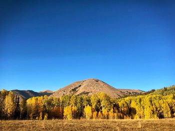 Scenic view of field against clear blue sky