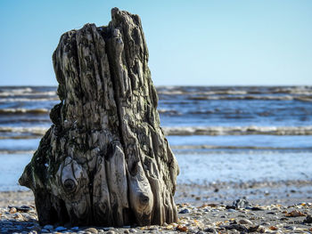 Close-up of driftwood on beach against clear sky