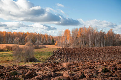 Scenic view of field against sky