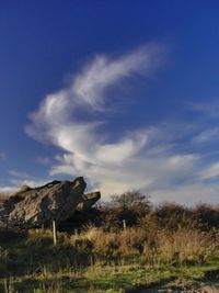 Scenic view of landscape against cloudy sky