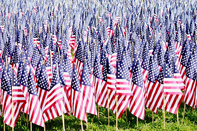 Close-up of american flags 