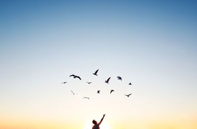 Men against birds flying during sunset