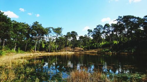 Scenic view of lake by trees against sky