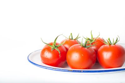 Close-up of tomatoes in plate against white background