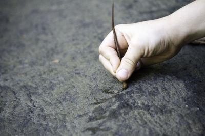 Cropped hand of woman with twig writing on rock