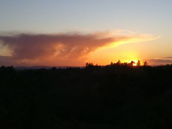 Silhouette trees against sky during sunset