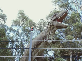 Low angle view of horse on tree