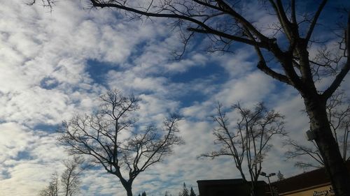 Low angle view of bare tree against cloudy sky