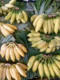 Close-up of banana at market