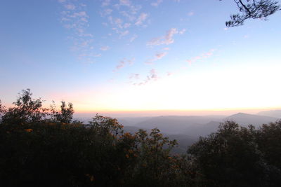 Scenic view of silhouette trees against sky during sunset