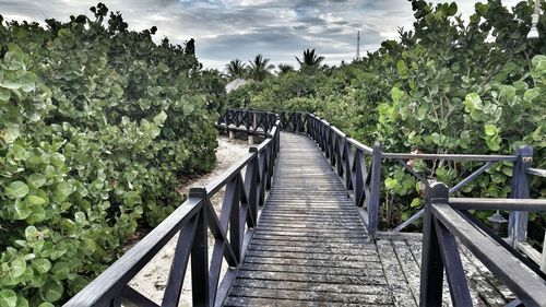 Footbridge over wooden walkway