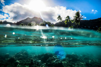 Underwater view