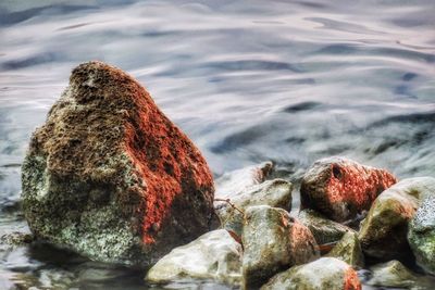 Close-up of pebbles on rock at beach