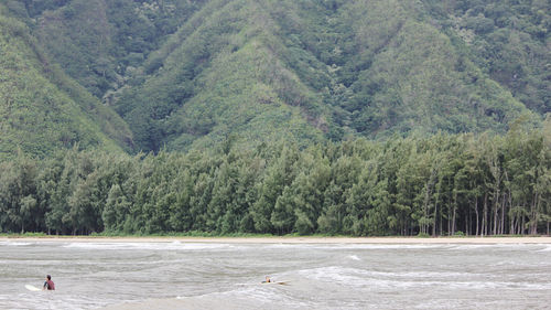 Scenic view of sea against trees in forest