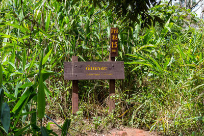 Information sign on tree