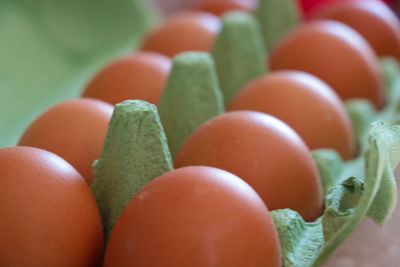 Close-up of multi colored candies