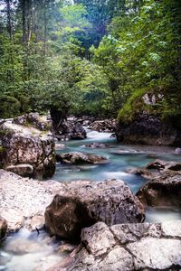 Stream flowing through rocks in forest