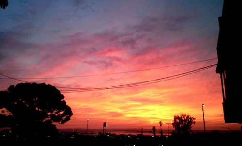 Silhouette of trees at sunset