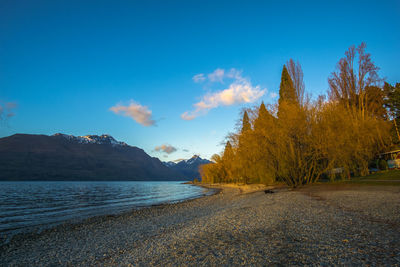 Scenic view of sea by trees against blue sky