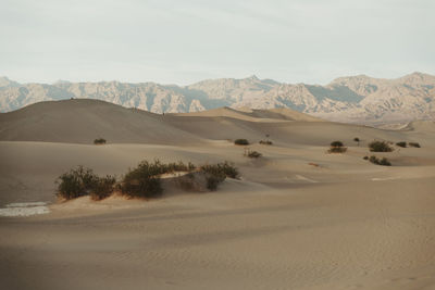 Scenic view of desert against sky