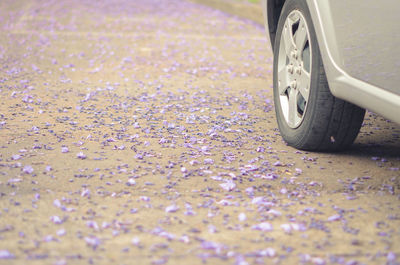 Close-up of car on road