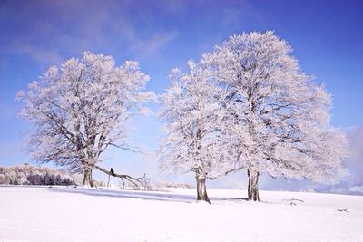 Scenic view of snow covered landscape